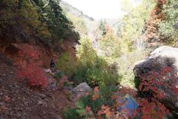 The pools just below the narrows [sat oct 8 12:09:06 mdt 2016]